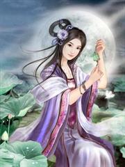 The Wizard from Afar audio latest full