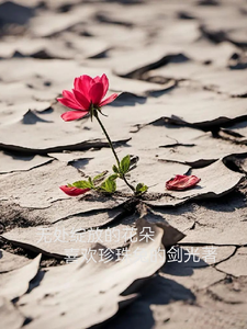 A Flower With Nowhere To Bloom audio latest full