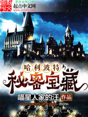 Harry Potter and the Secret Treasures audio latest full
